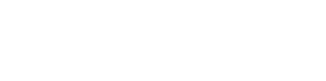 Governo Logo